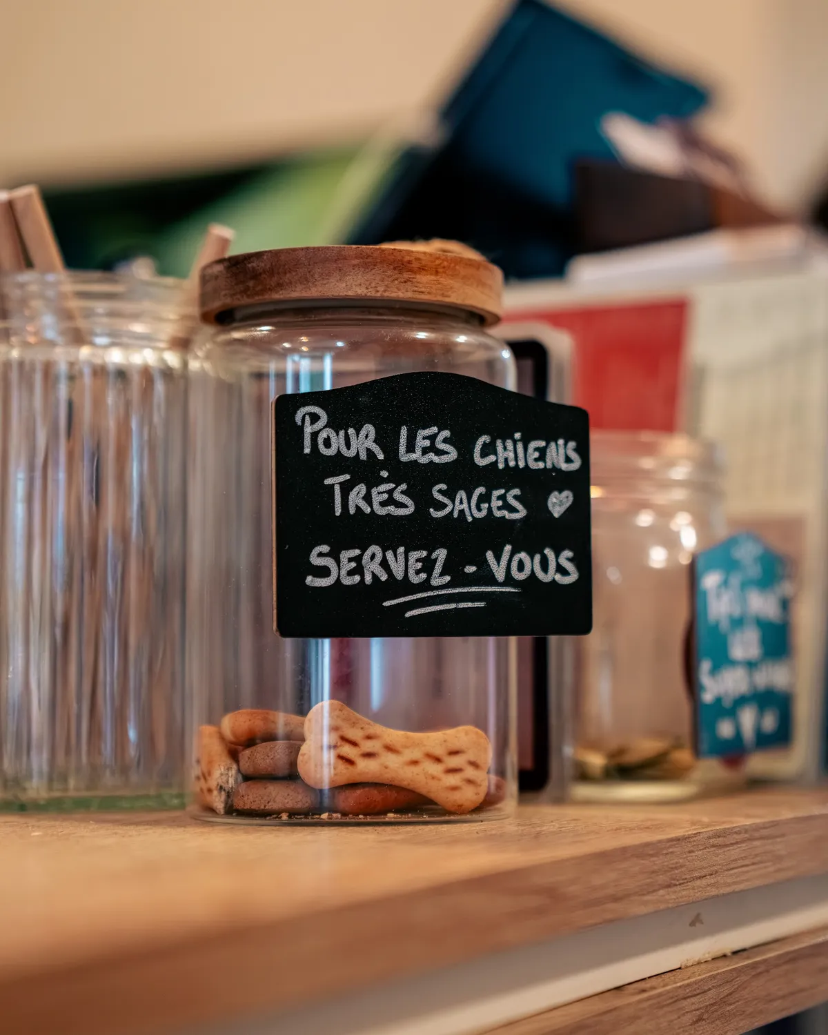 Bocal de biscuits pour chiens en libre-service, AB Cafe à Saint-Raphaël